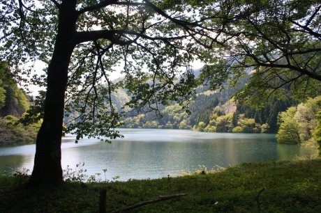 Lake Midori